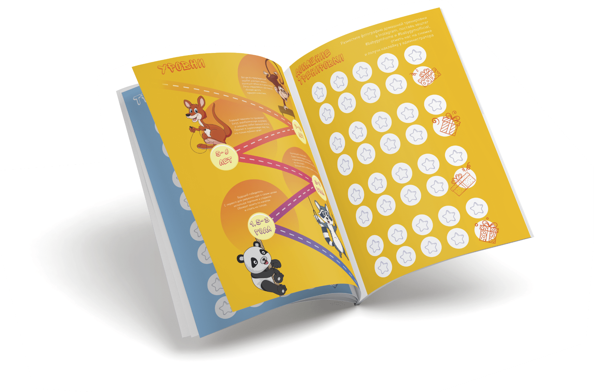 Программа World of Gymnastics